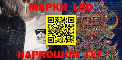 шишки Будённовск