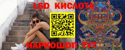 шишки Будённовск