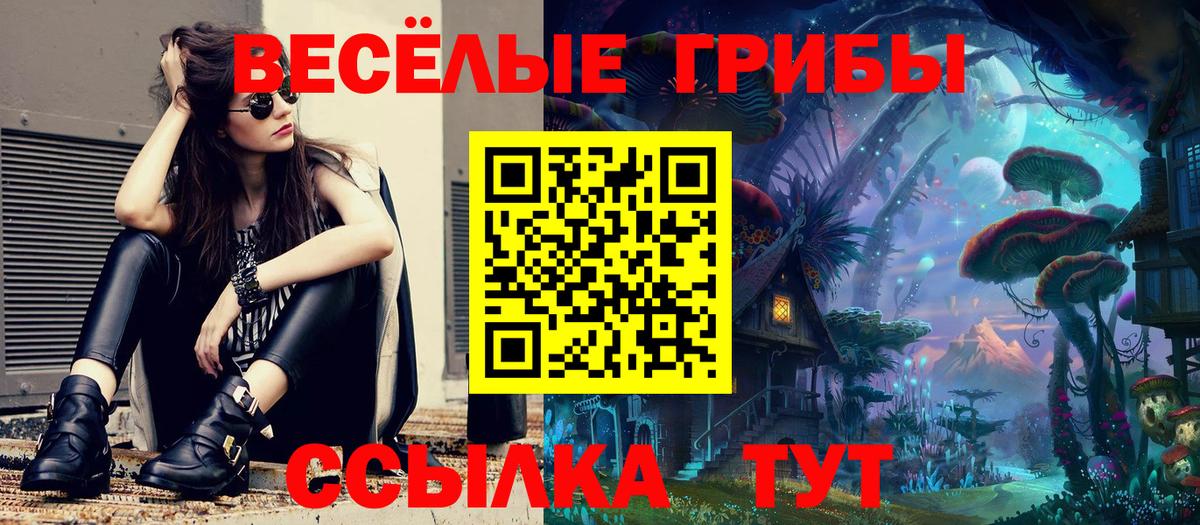 Красноярск  Галлюциногенные грибы Cubensis  цены наркотик  Псилоцибиновые грибы прущие грибы  Вход с VPN 
